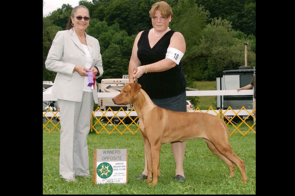 We've discovered yogurt! Rhodesian Ridgeback Puppies breeder image 37