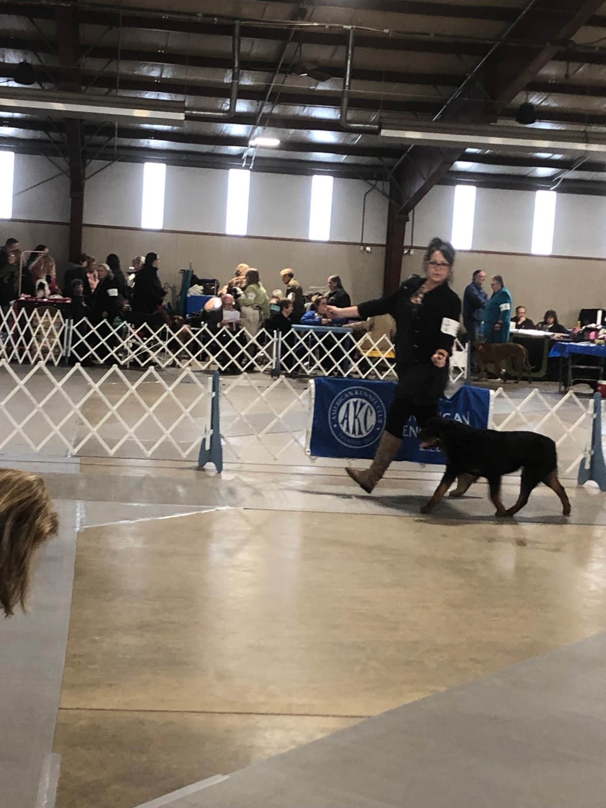 AKC Rottweiler Puppies breeder image 17