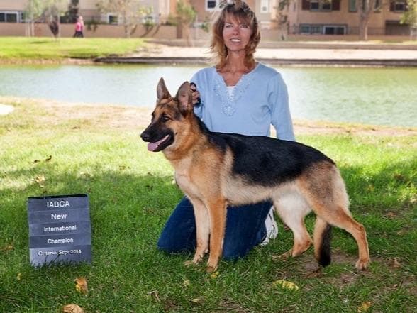 Flair and Storm 909-297-6217 breeder image 4