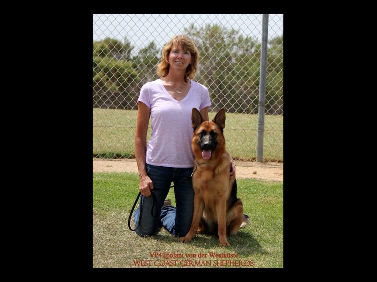 Flair and Storm 909-297-6217 breeder image 1
