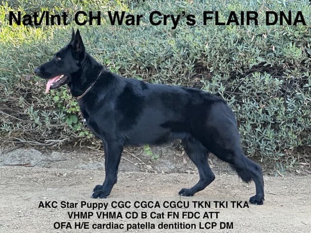 Flair and Storm  909-297-6217 media 3