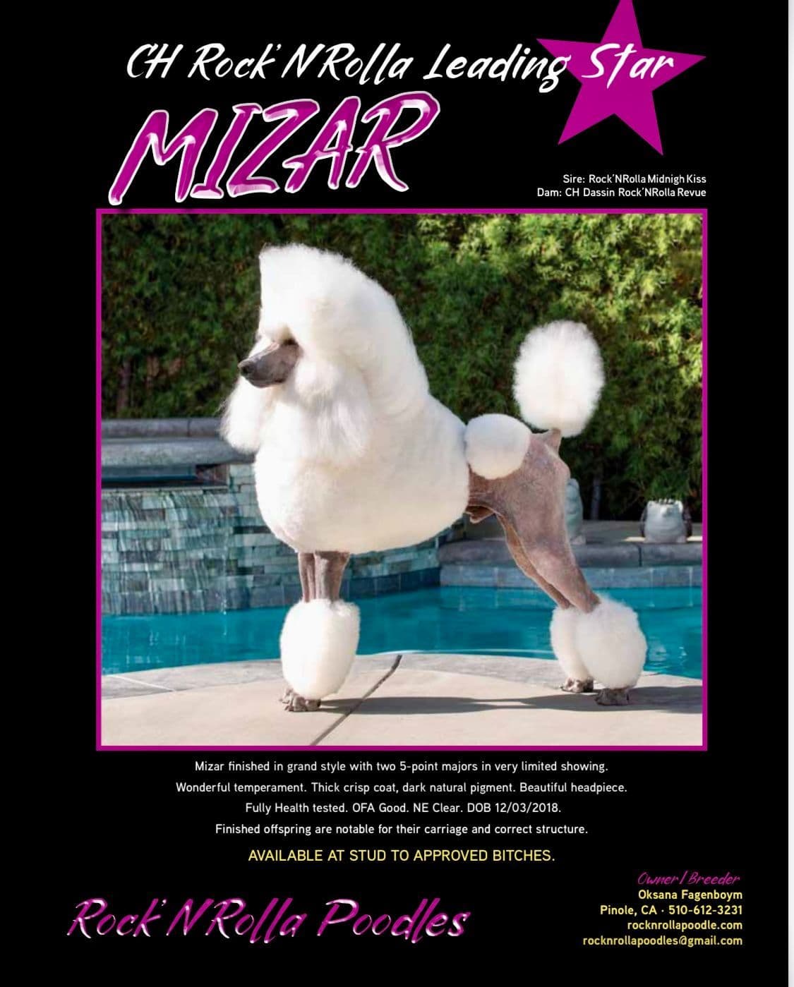 Poodle Puppies breeder image 25