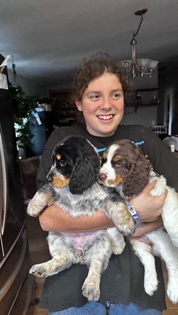 English Springer Spaniel Puppies breeder image 3