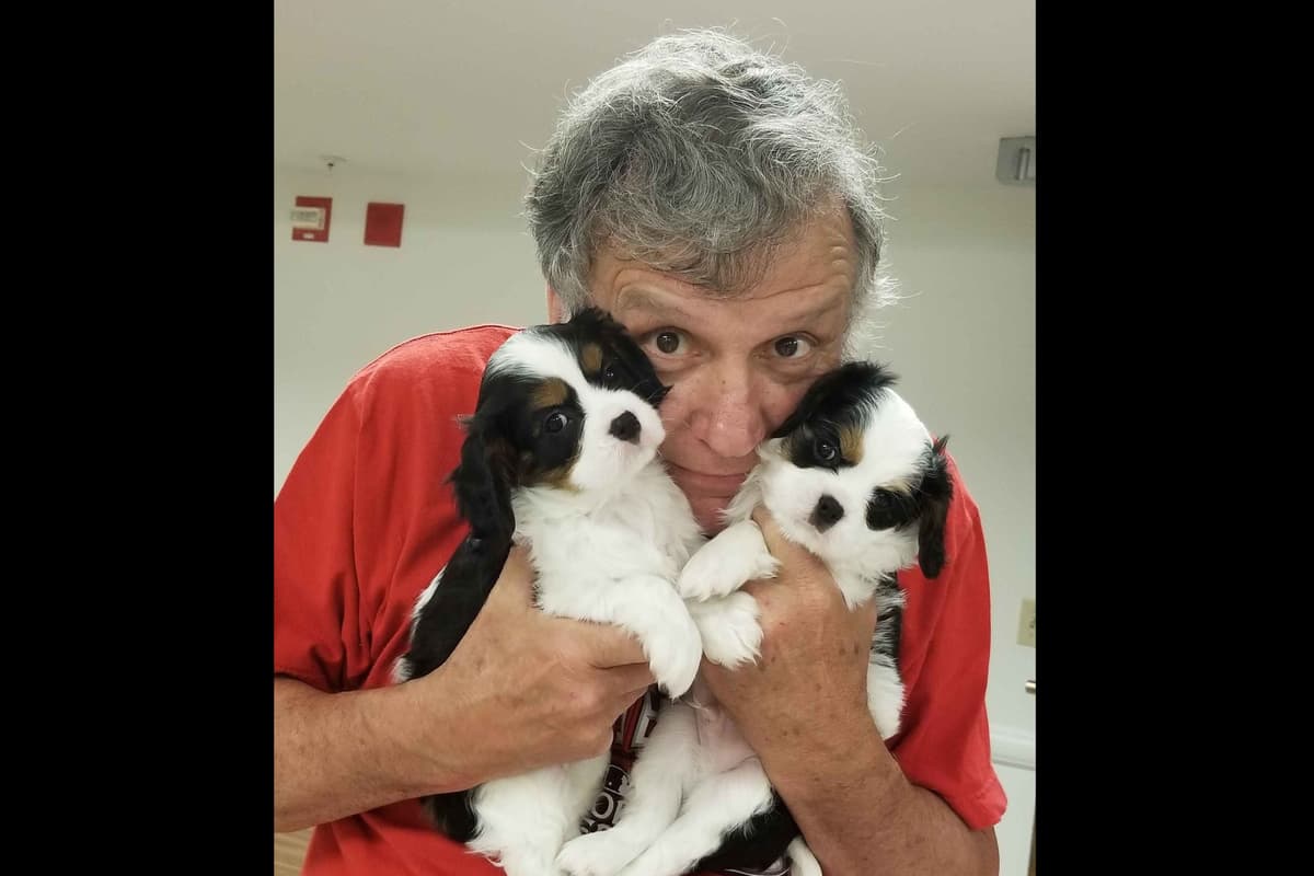 Cavalier King Charles Spaniel Puppies breeder image 3