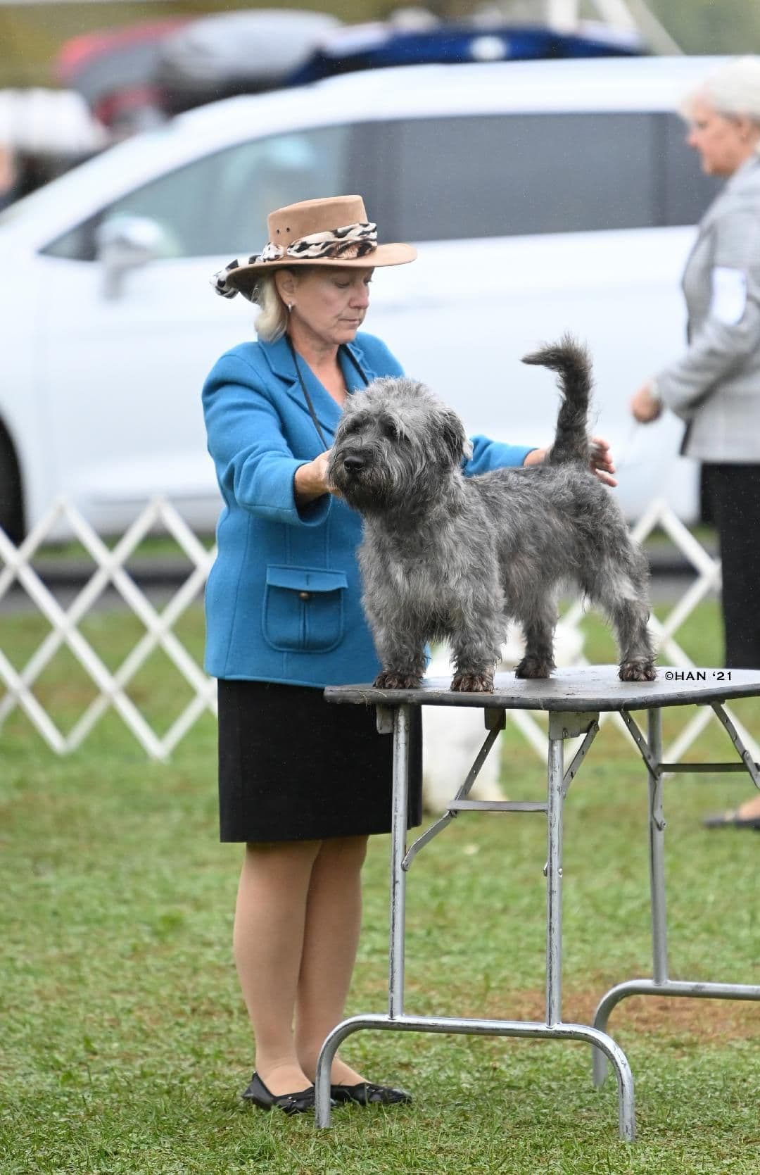 Glen of Imaal Terrier Puppies breeder image 3