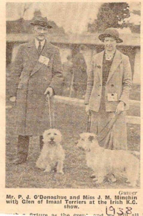 Glen of Imaal Terrier Puppies breeder image 9
