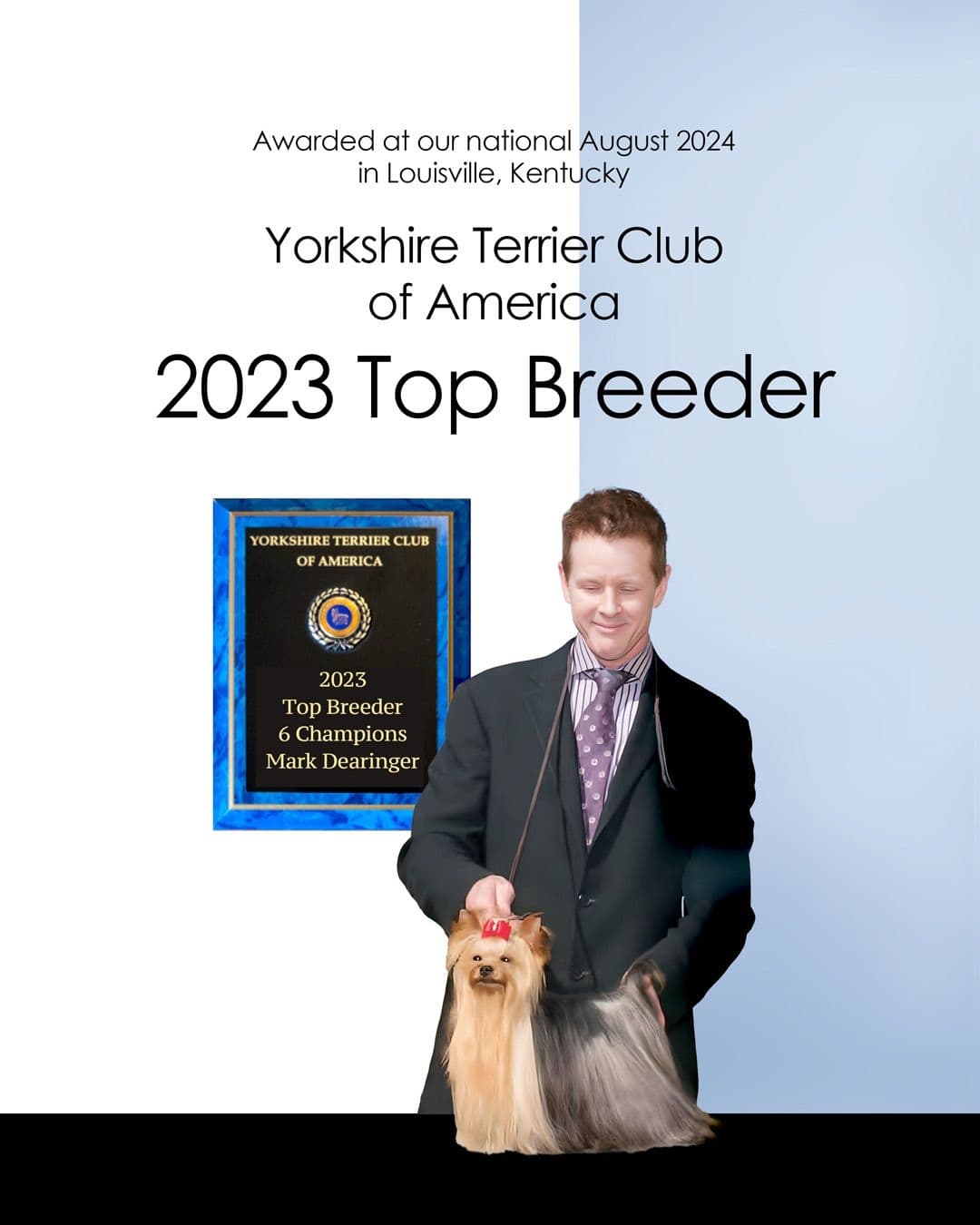 Yorkshire Terrier Puppies breeder image 1