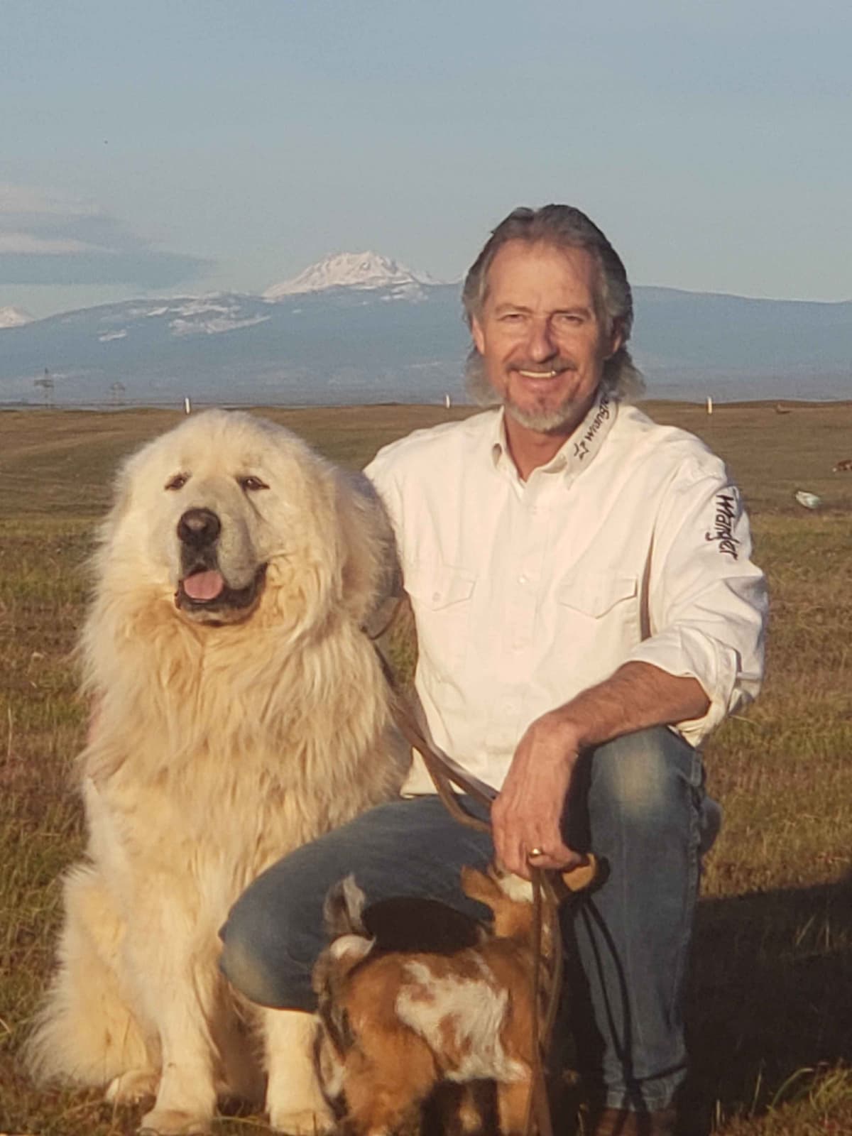 Great Pyrenees Puppies champion lines breeder image 24