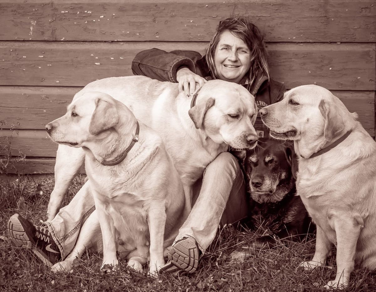 Labrador Retriever Puppies breeder image 1