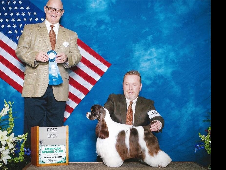 Chihuahua Puppies breeder image 4