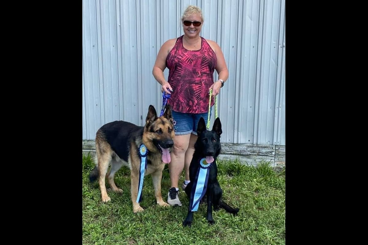 German Shepherd Dog Puppies breeder image 21