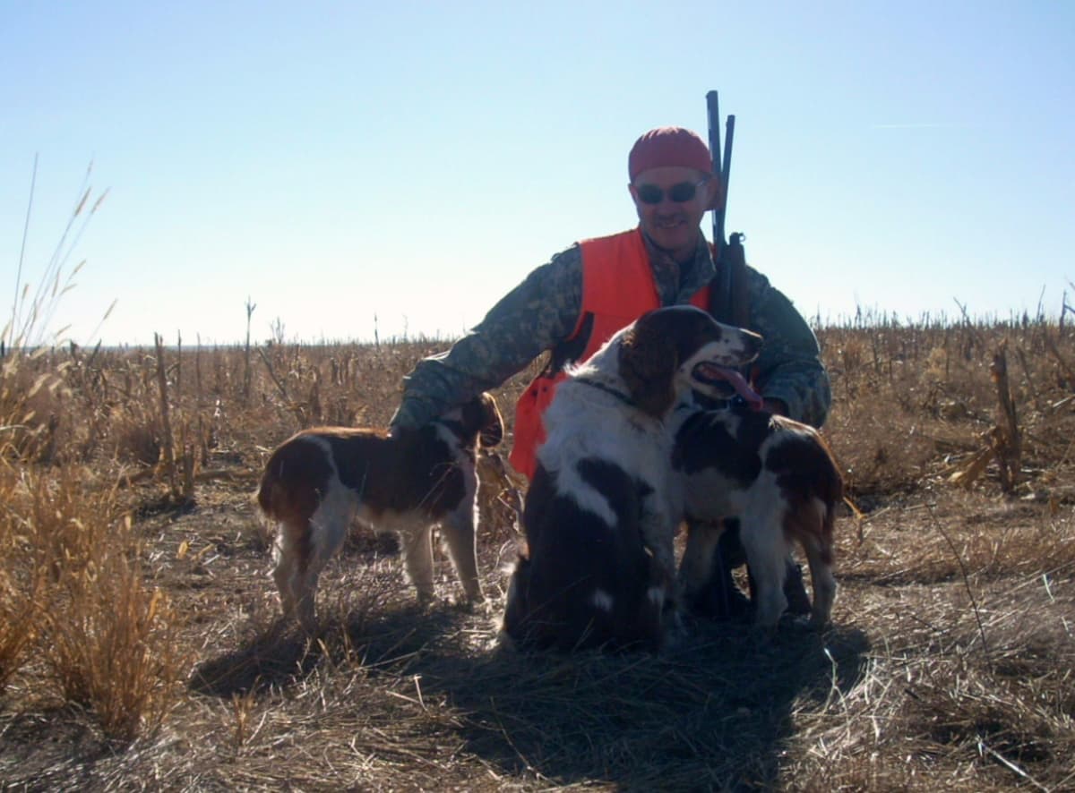 Welsh Springer Spaniel Puppies breeder image 13