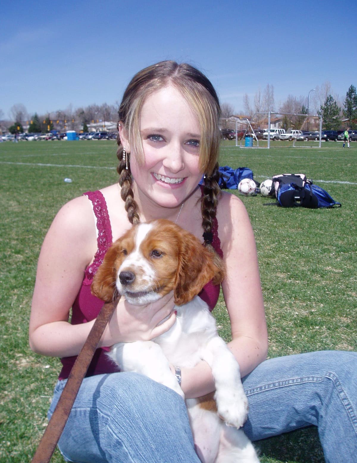 Welsh Springer Spaniel Puppies breeder image 14
