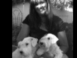 Afterglow Sealyham Terrier Puppies breeder image 7