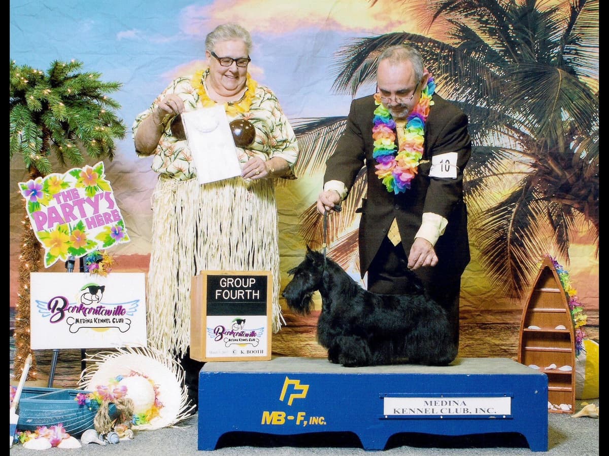 Afterglow Sealyham Terrier Puppies breeder image 22