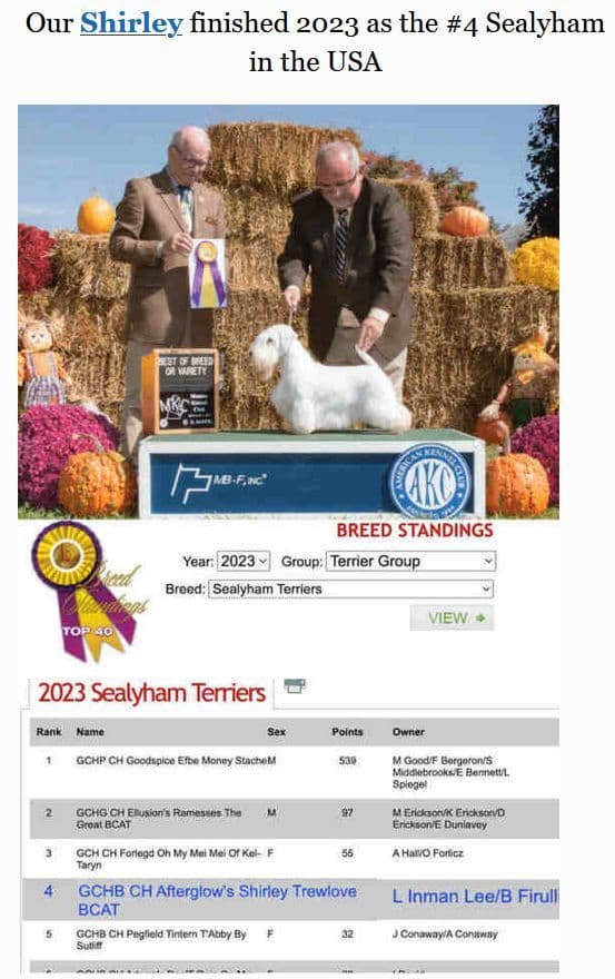 Afterglow Sealyham Terrier Puppies breeder image 20