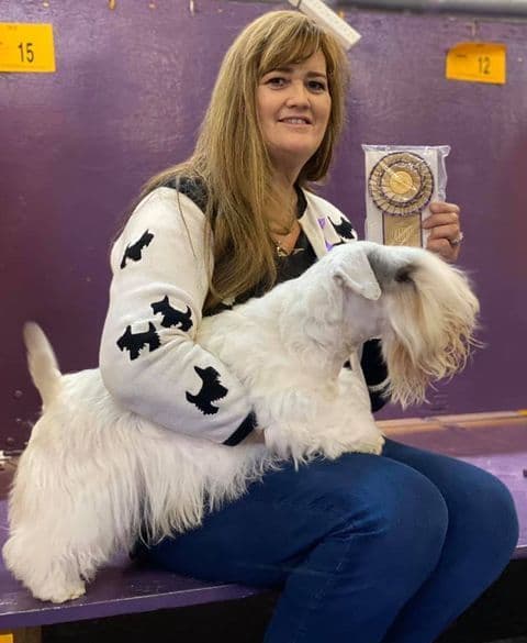 Afterglow Sealyham Terrier Puppies media 3