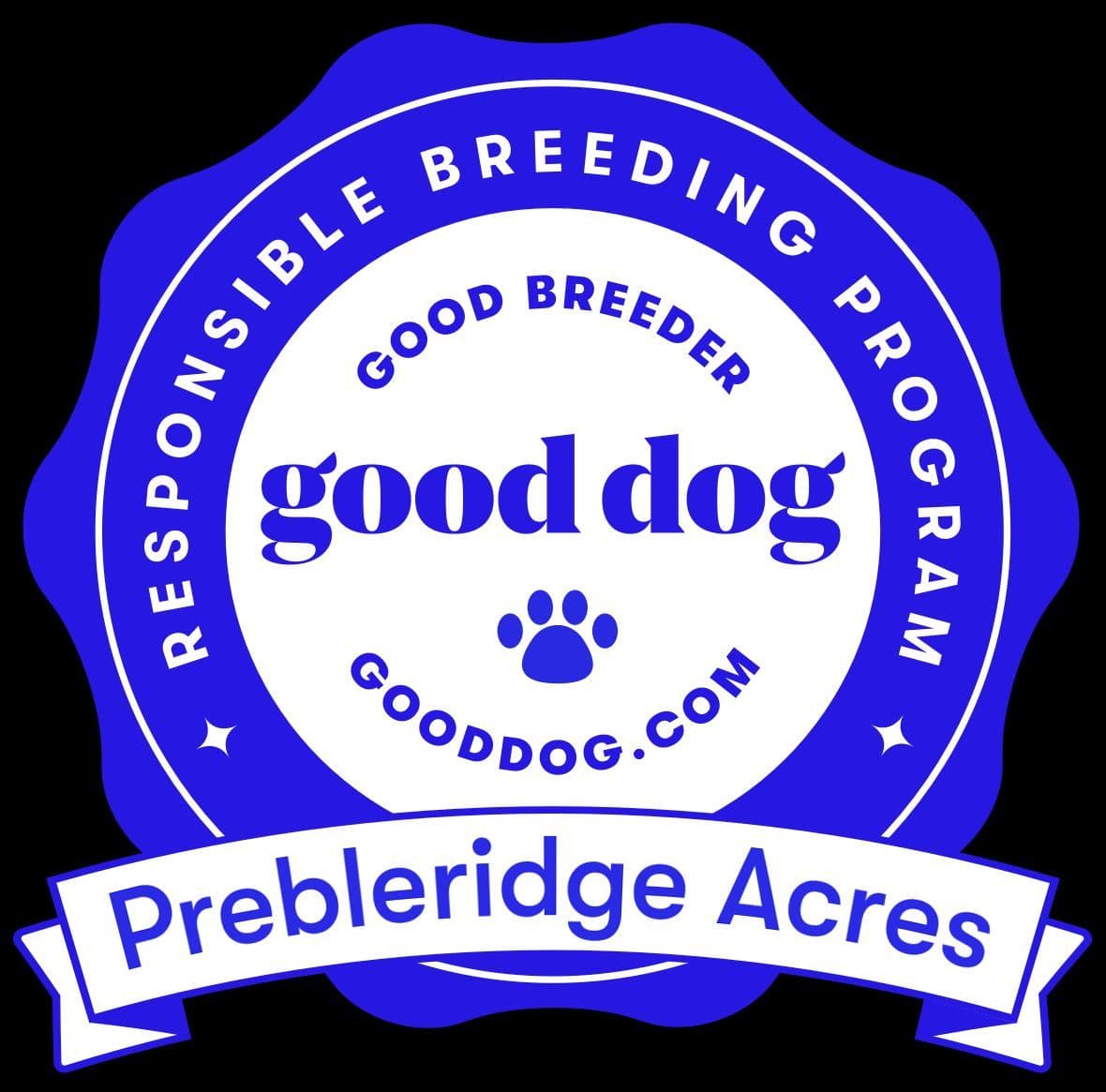Labrador Retriever Puppies breeder image 4