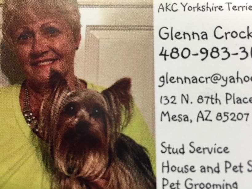 Yorkshire Terrier Stud breeder image 1