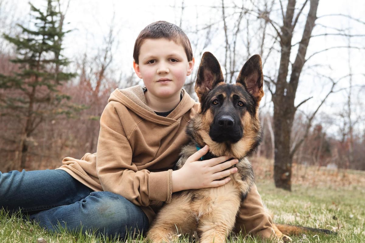 German Shepherd Dog Puppies breeder image 14