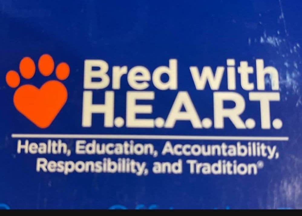 DNA cardiology in ophthalmology tested cleared on parents breeder image 15