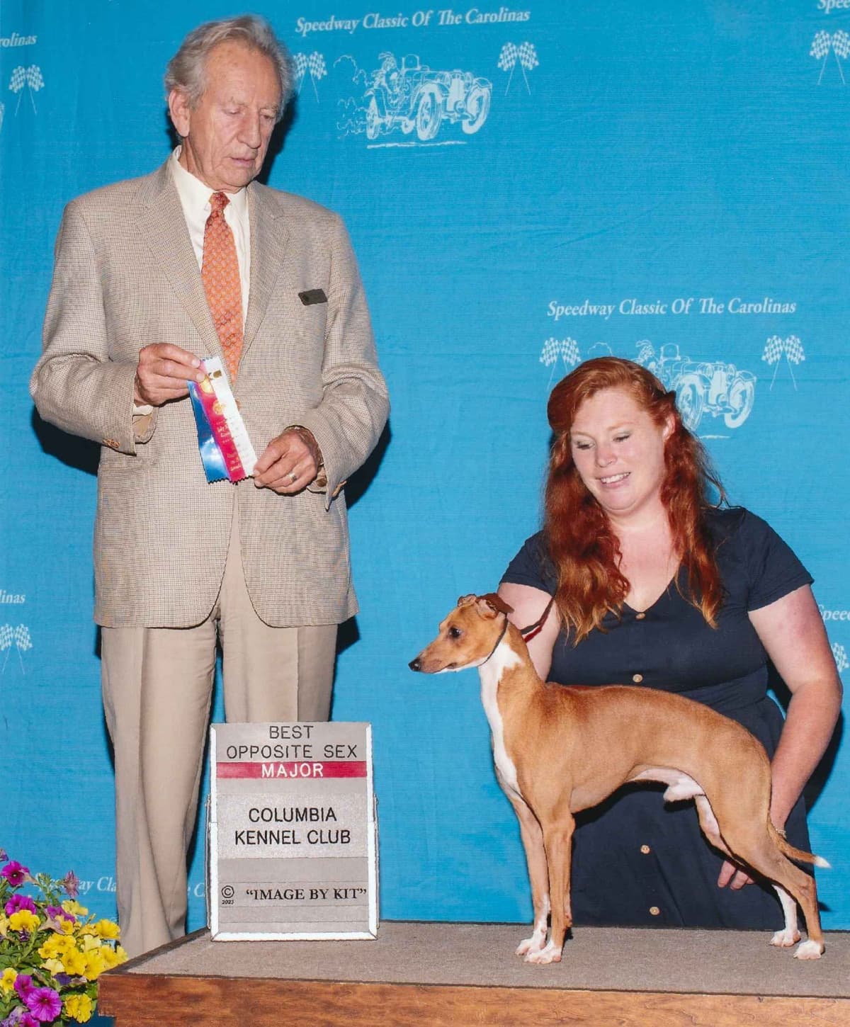 Italian Greyhound girl breeder image 1