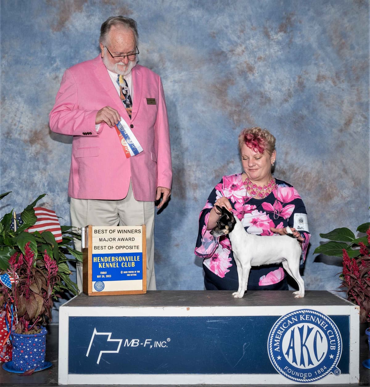 Italian Greyhound girl breeder image 12