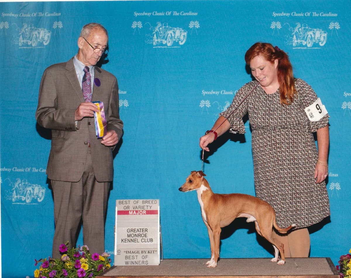 Italian Greyhound girl breeder image 20