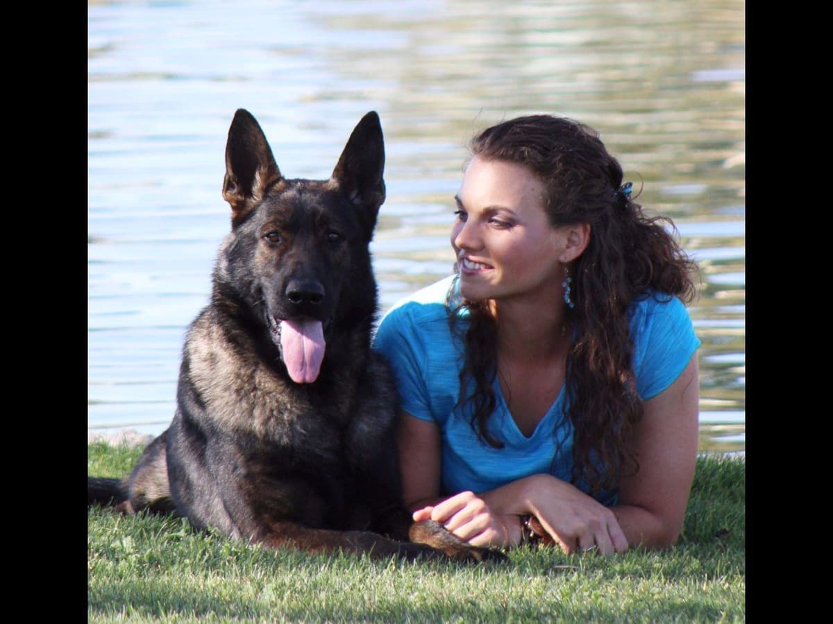 German Shepherd Puppies-unmatched quality, temperament, and purpose. breeder image 16