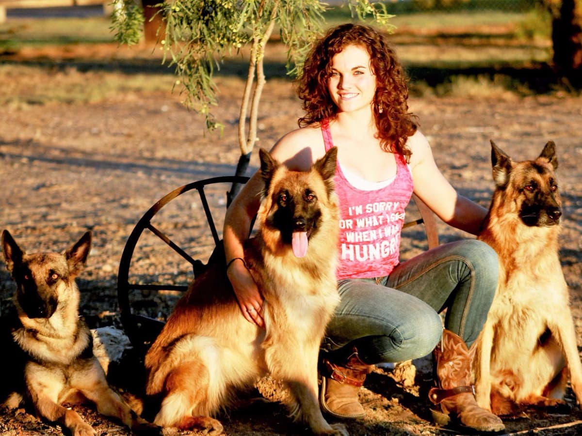 German Shepherd Puppies-unmatched quality, temperament, and purpose. breeder image 38