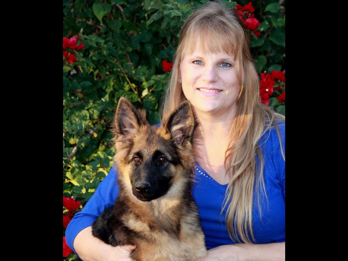 German Shepherd Puppies-unmatched quality, temperament, and purpose. breeder image 39