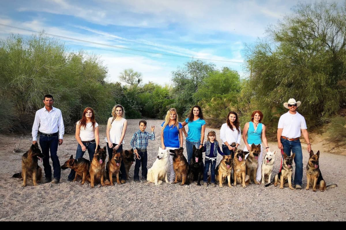 German Shepherd Puppies-unmatched quality, temperament, and purpose. breeder image 72