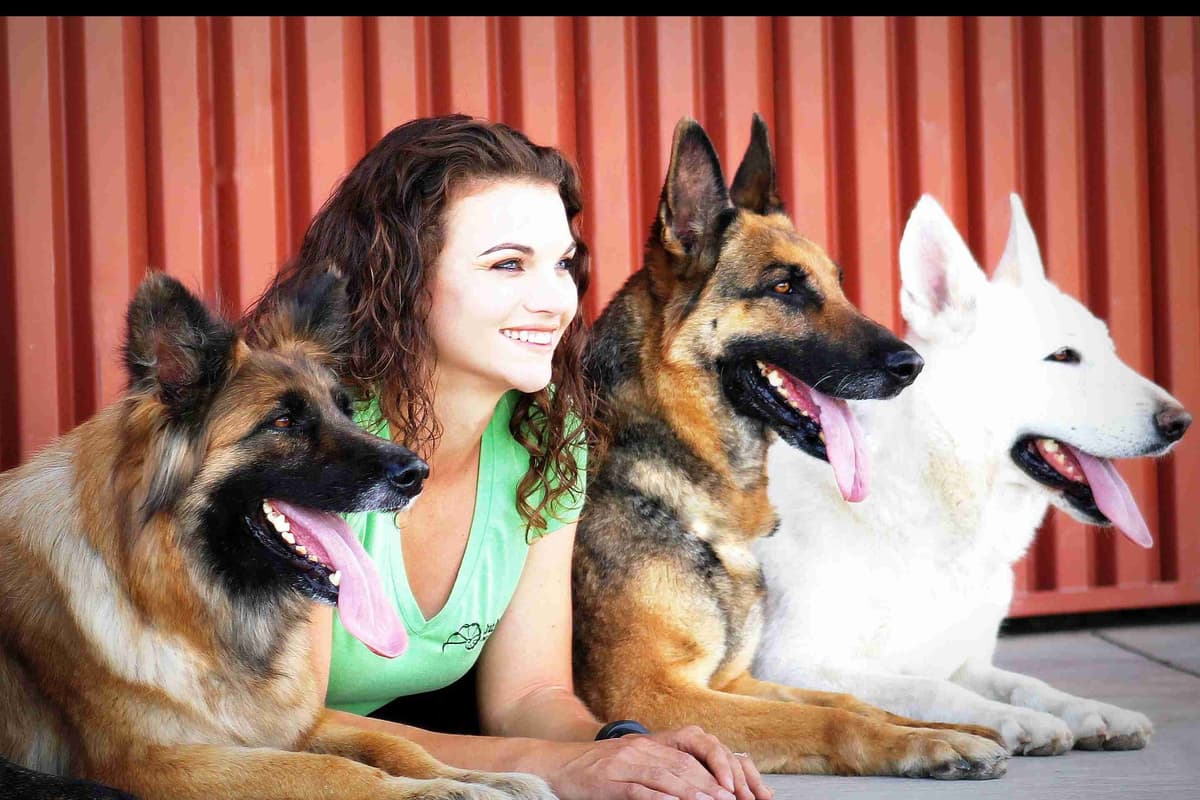 German Shepherd Puppies-unmatched quality, temperament, and purpose. breeder image 74