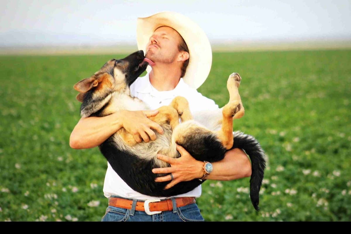 German Shepherd Puppies-unmatched quality, temperament, and purpose. breeder image 77