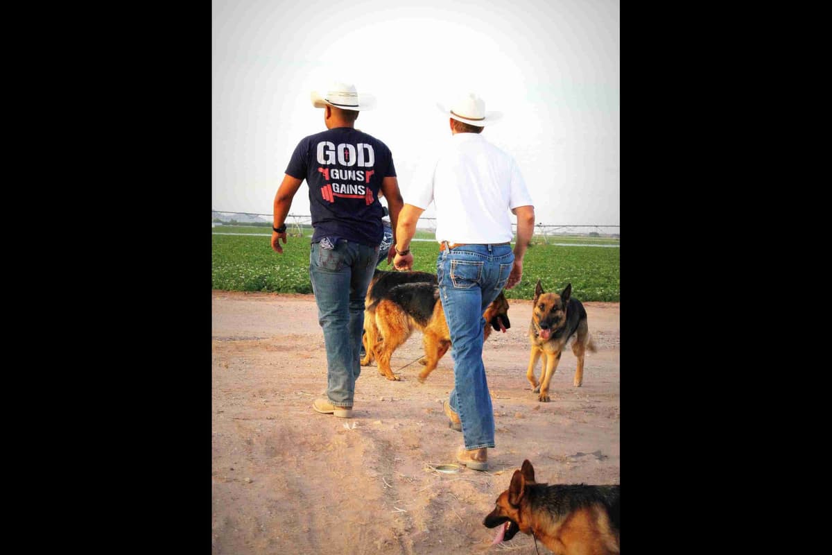 German Shepherd Puppies-unmatched quality, temperament, and purpose. breeder image 79