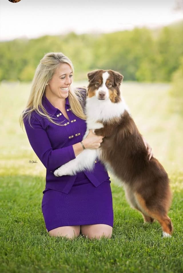 Australian Shepherd Puppies media 4