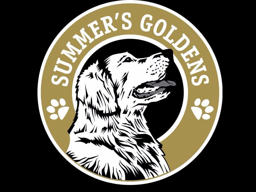 Echo & Tex's Golden Retriever Puppies breeder image 2