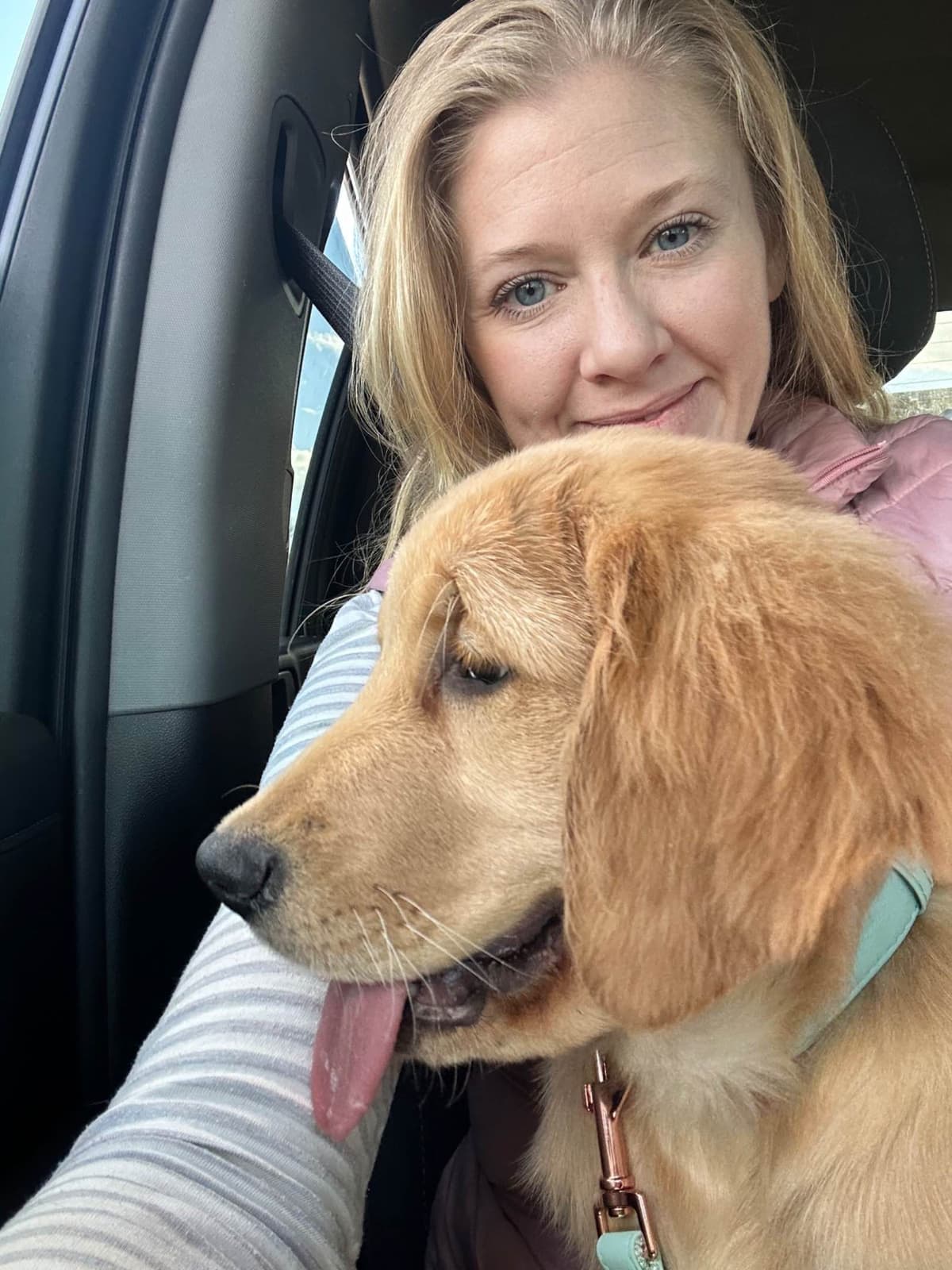Dark Golden Retriever Puppies - Ready Aug 1st! breeder image 24