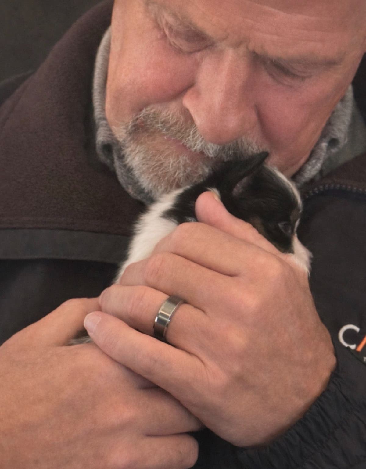 Papillon Puppies breeder image 17