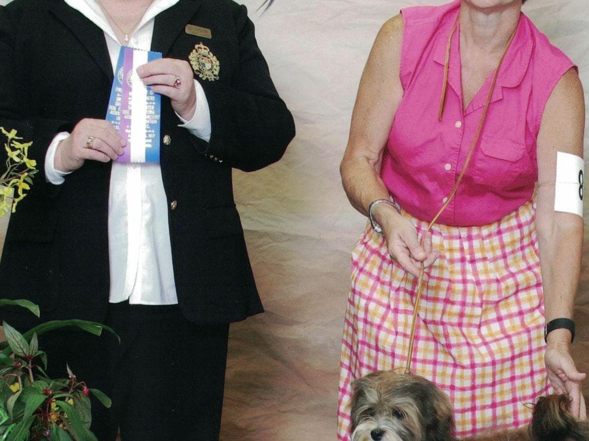Havanese Puppies breeder image 14