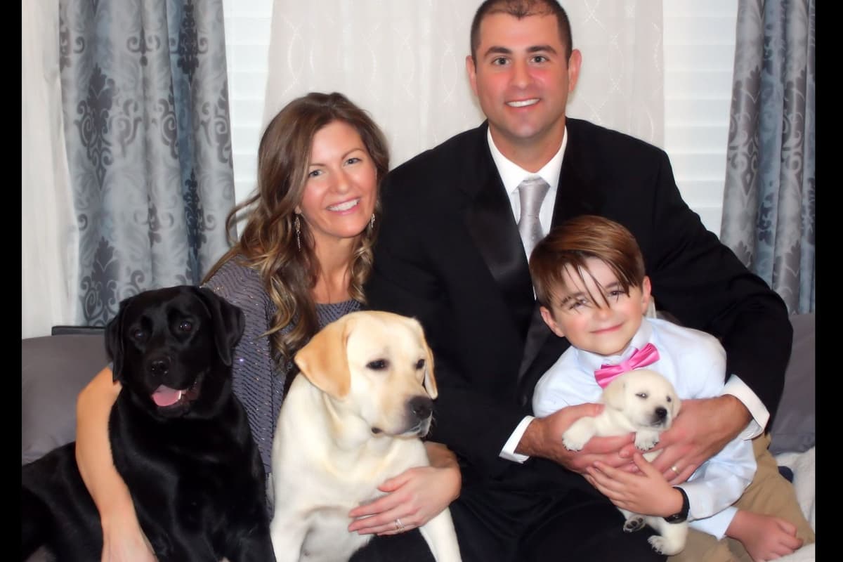 BellaVista Labradors breeder image 1