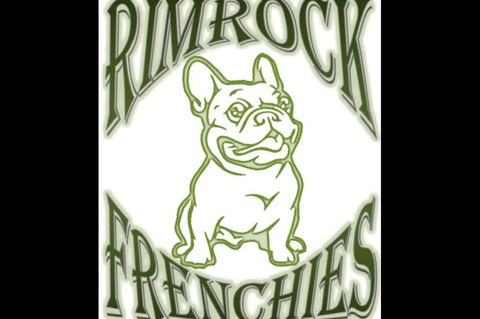 French Bulldog Puppies - Incredible REPEAT PAIRING - ZOEY and TITAN breeder image 2