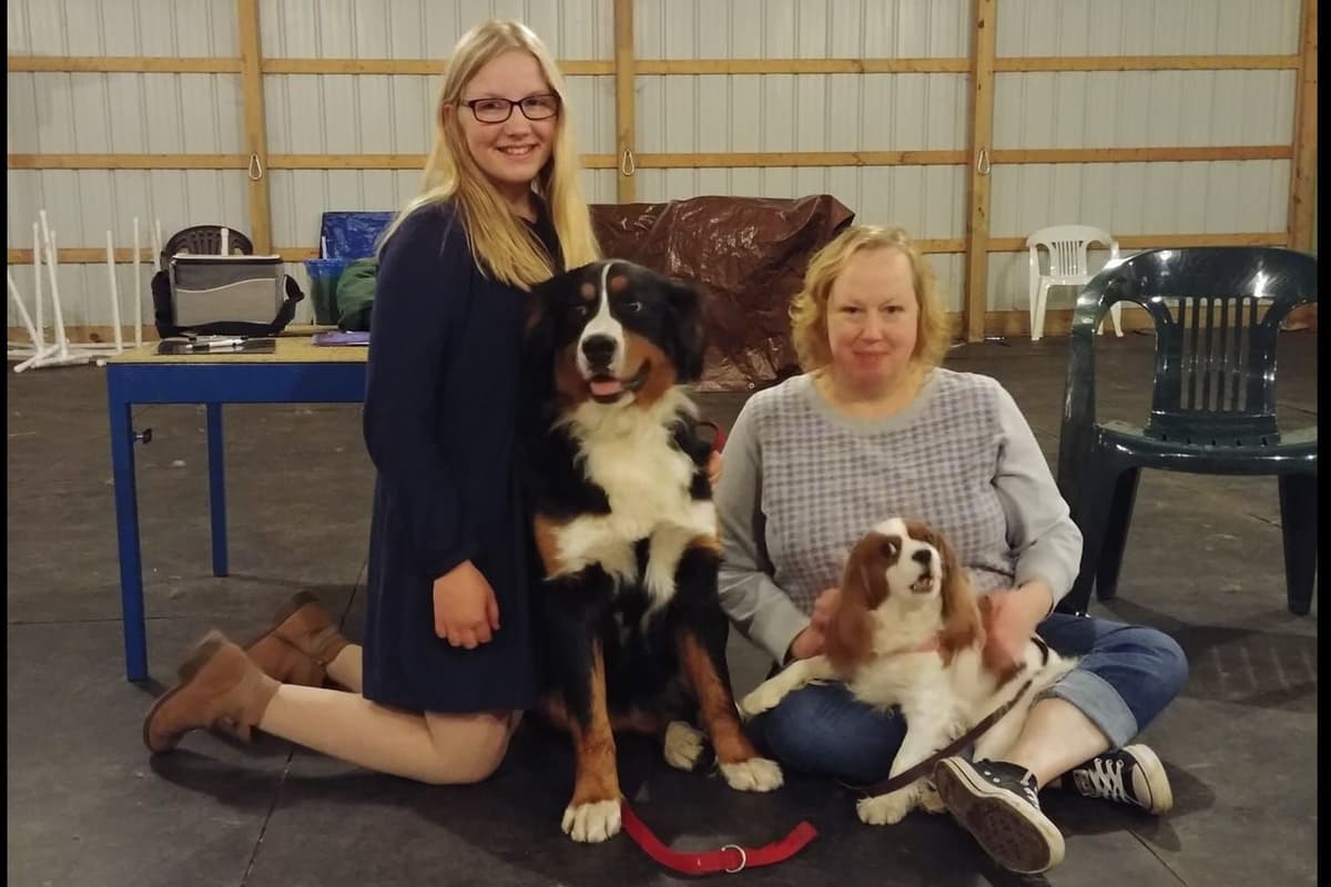 Australian Shepherd Puppies breeder image 16