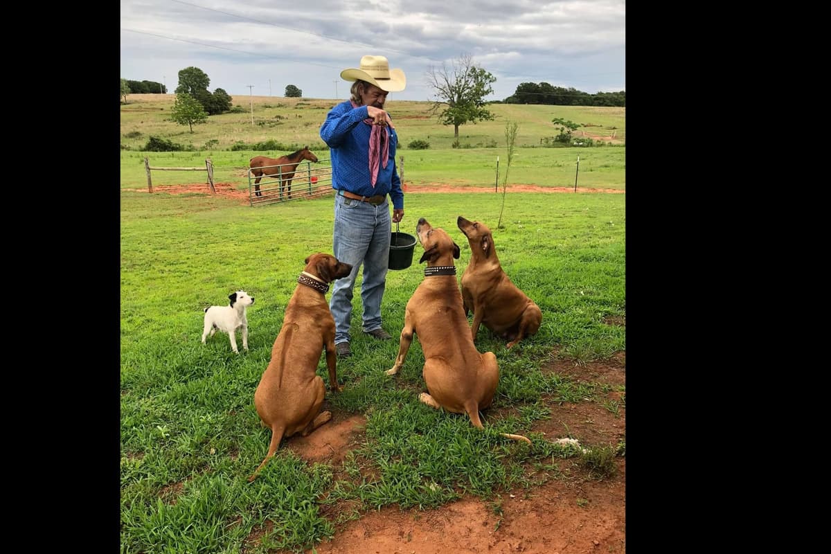 River Run Ridgebacks breeder image 1