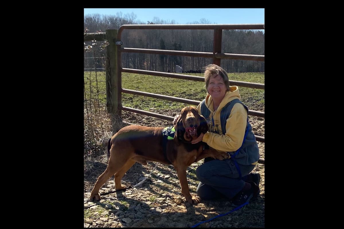 Australian Cattle Dog Puppies breeder image 1