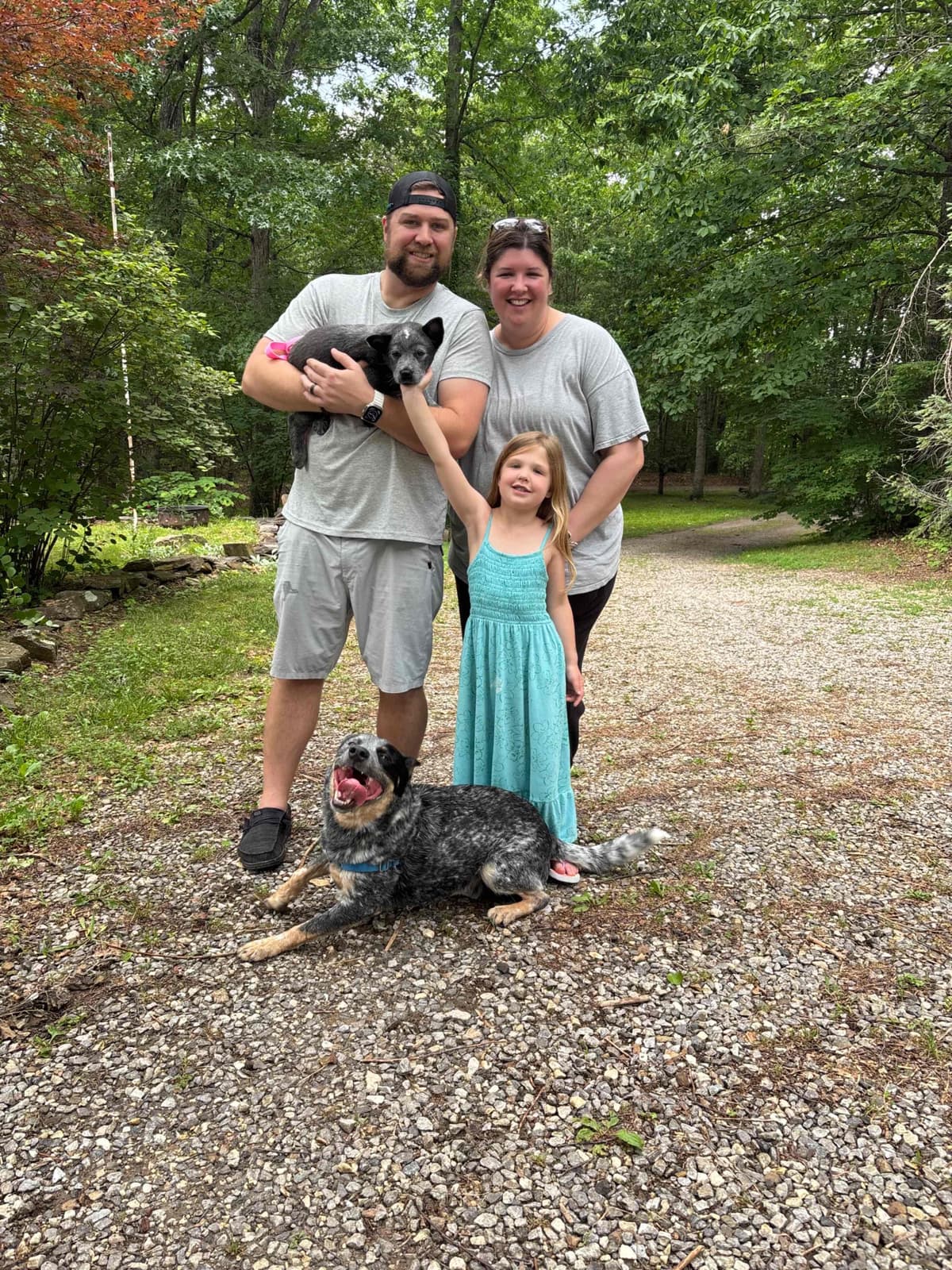Australian Cattle Dog Puppies breeder image 25