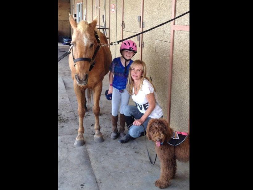 3 boys 2 girls- Beautiful adorably sweet potty trained breeder image 17
