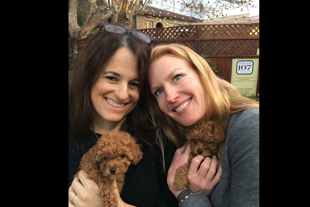 3 boys 2 girls- Beautiful adorably sweet potty trained breeder image 15