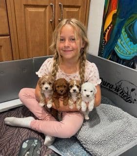 3 boys  2 girls- Beautiful adorably sweet potty trained media 2