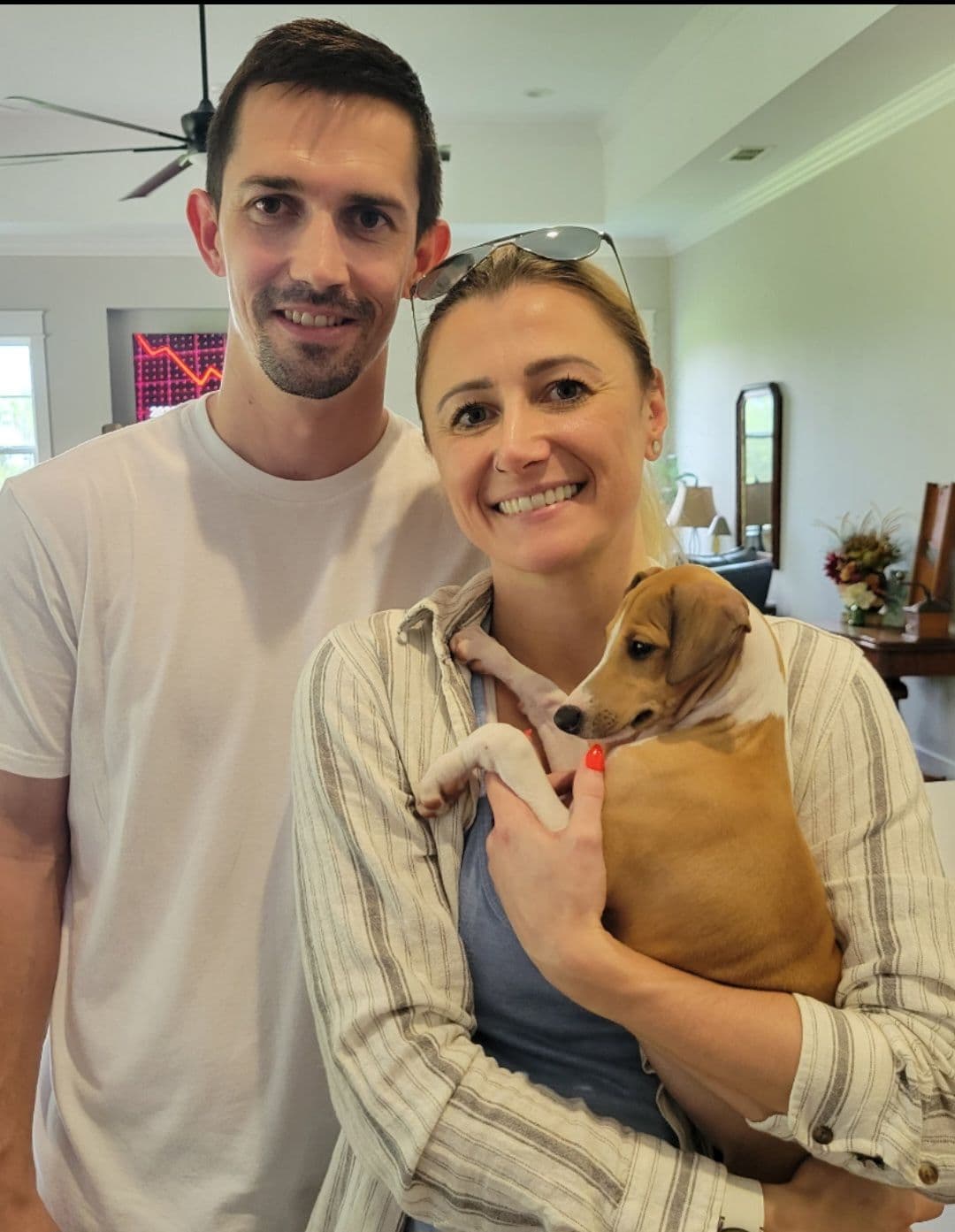 Italian Greyhound Puppies breeder image 9